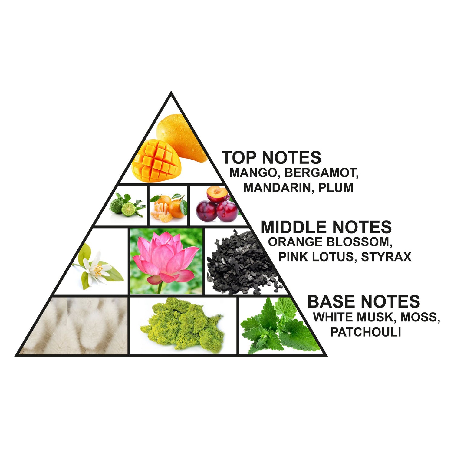 Al Haramain Amber Oud Future Dubai For Unisex Extrait De Parfum 100ml