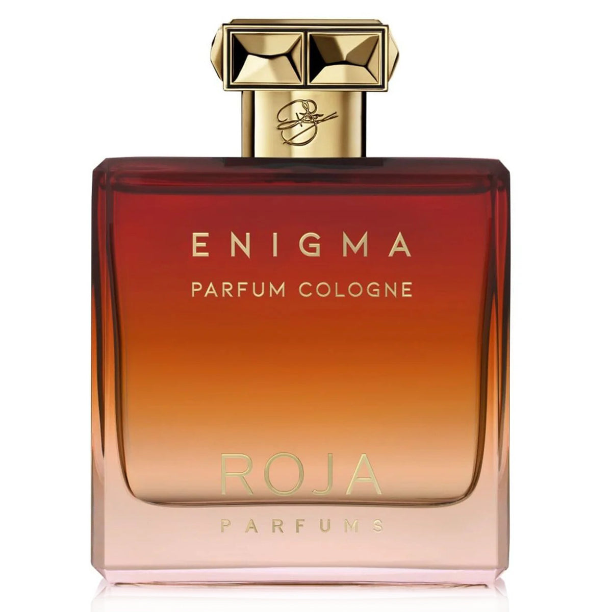 Roja Enigma Parfum Cologne For Men 100ml