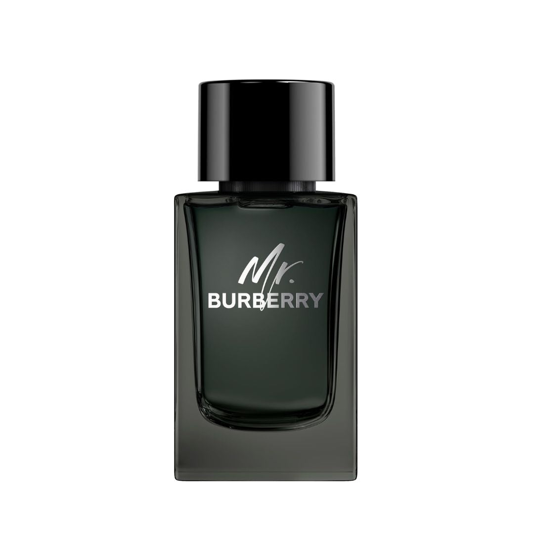 Burberry Mr Burberry for men Eau de Parfum 100ML