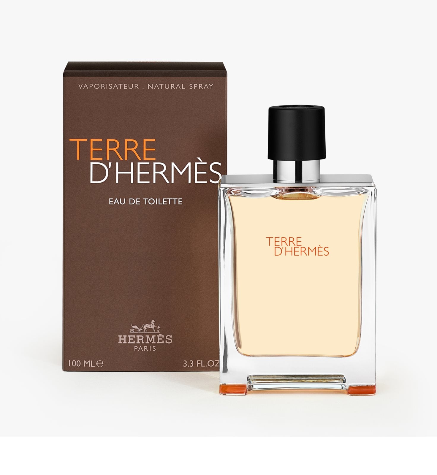 Hermes Terre d'Hermes For Men Eau de Toilette 100ML