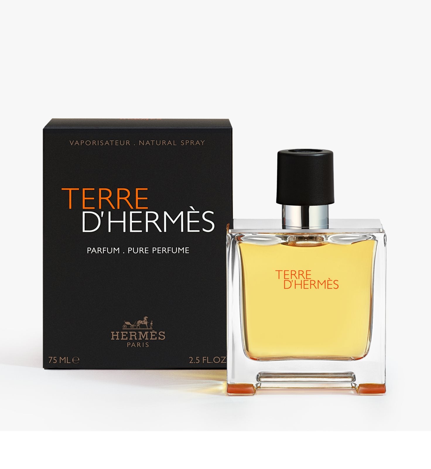 Hermes, Terre d'Hermes Eau Intense Vetiver, Eau de Parfum 100ML, for Men