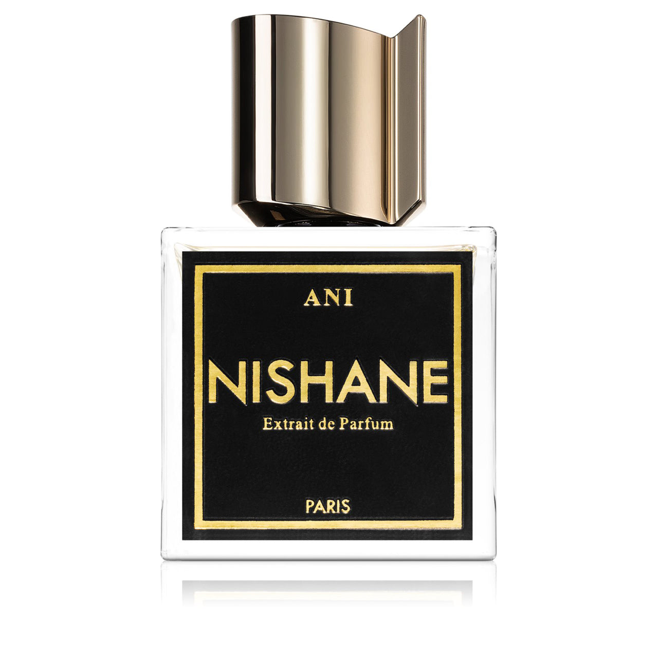 Nishane Ani For Unisex Extrait De Parfume 100ML